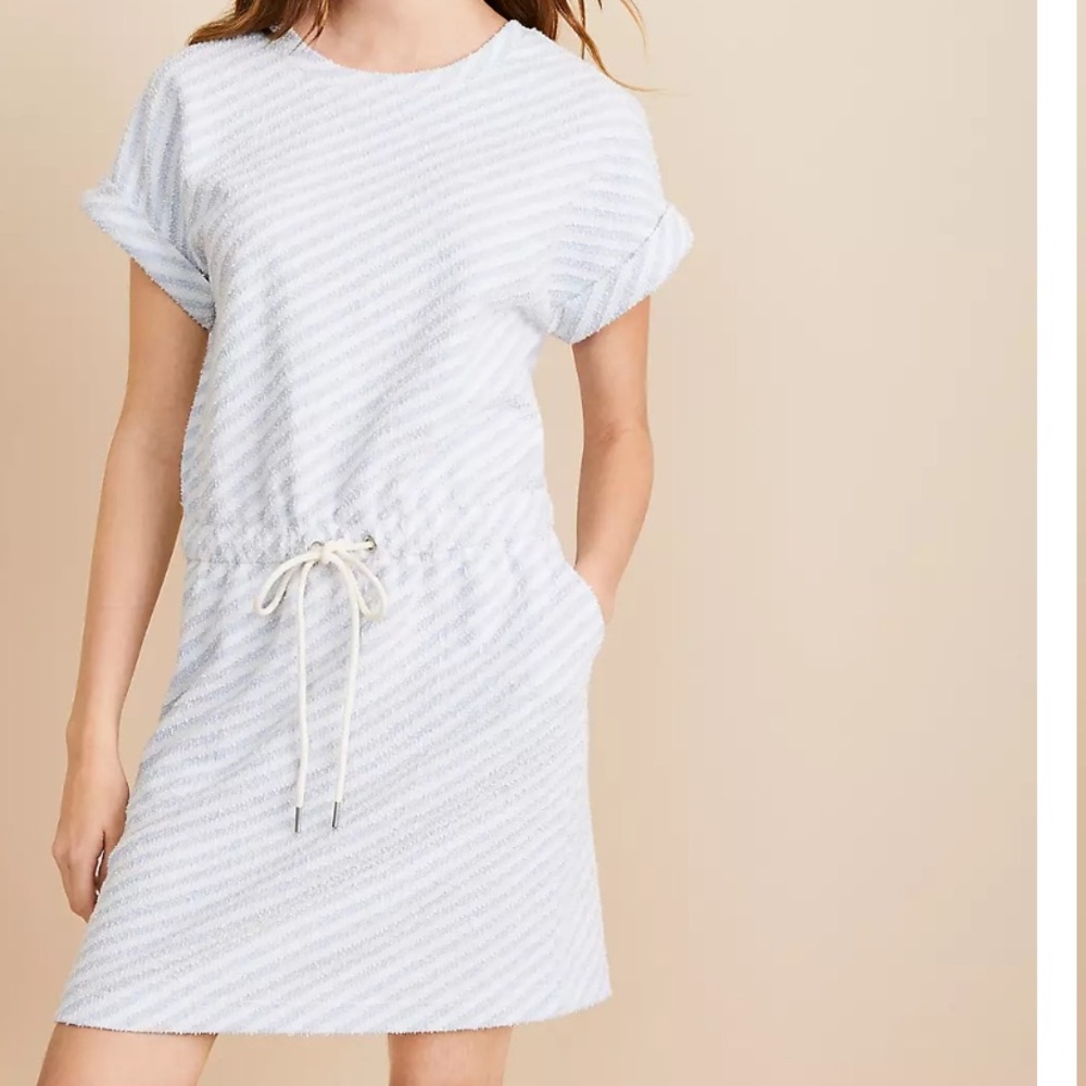 NWT Loft Lou & Grey Striped Boucle Pocket Dress